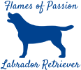 Flames of Passion Labrador Retriever