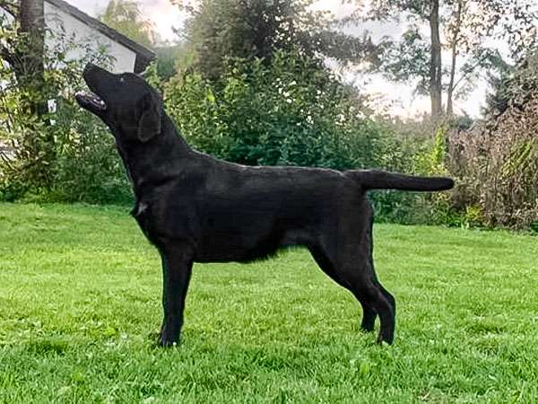 Precious For Eternity Evenmore She’s Smart