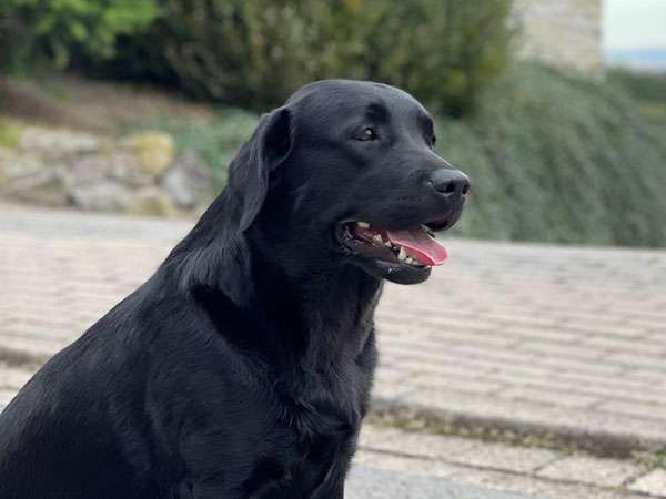 Precious For Eternity Evenmore She’s Smart